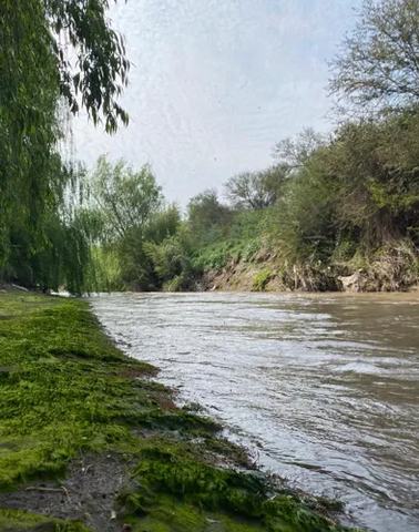 Jornada de Limpieza: Humedal Río Mapocho
