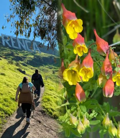 Observación e interpretación de la naturaleza