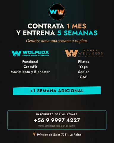Clases de CrossFit y Funcional en Wolfbox