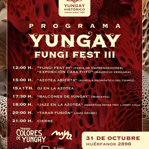 Yungay Fungi Fest III & Mercado Colores